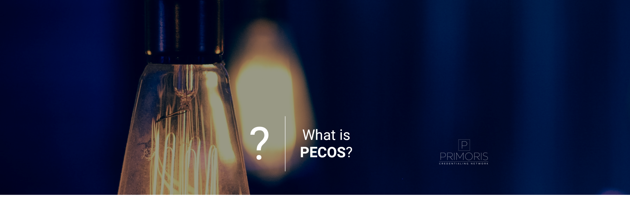 What is PECOS (Provider, Enrollment, and Chain Ownership System).com What is PECOS Provider Enrollment Chain Ownership System